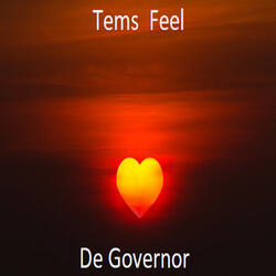 Tems  Feel