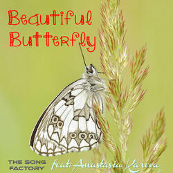 Beautiful Butterfly