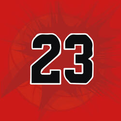 Jordan 23