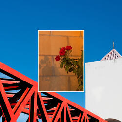 Tell Me What You Think