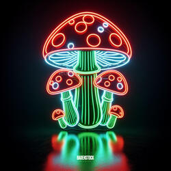 Fly Agaric