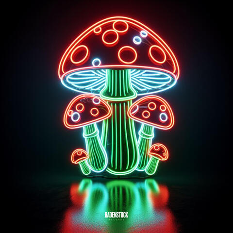 Fly Agaric