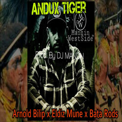 Andux Tiger