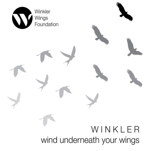 Wind Underneath Your Wings