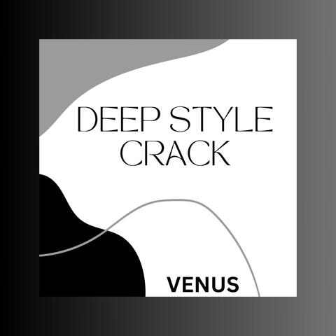 Deep Style Crack