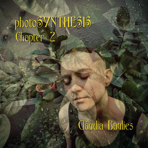 photoSYNTHESIS: Chapter 2