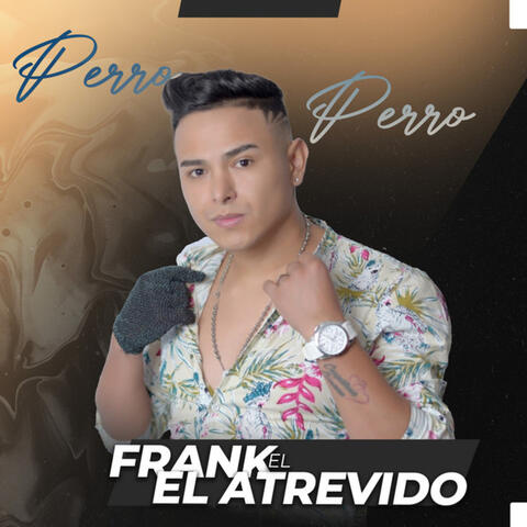 Perro perro
