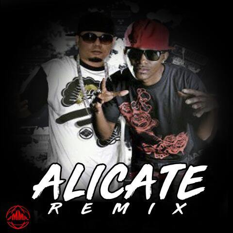 Alicate