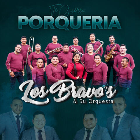 Te Quería Porquería