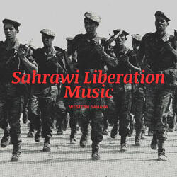 The Revolution of 20 May