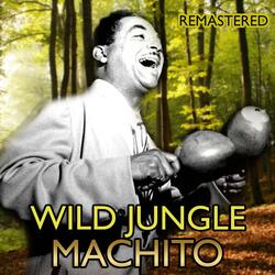 Blues a la Machito