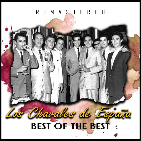 Best of the Best