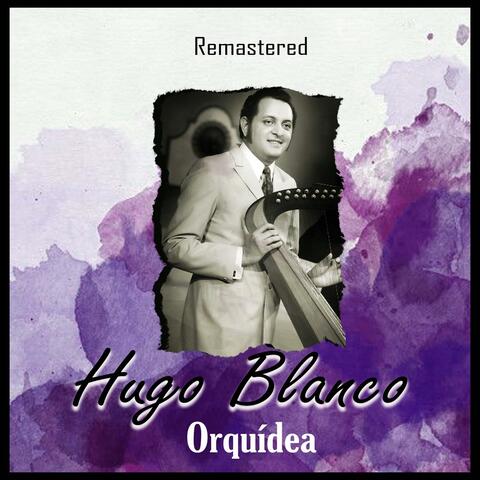 Orquídea