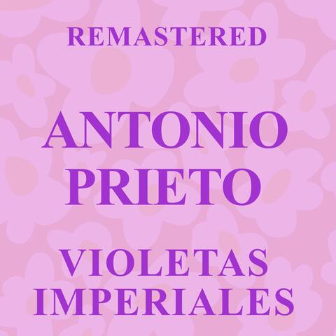 Violetas imperiales