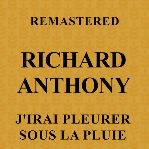 J'irai pleurer sous la pluie