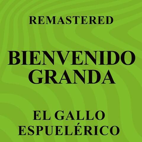 El gallo Espuelérico