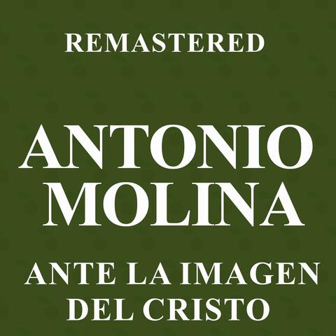 Ante la imagen del Cristo