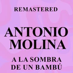 A la sombra de un bambú