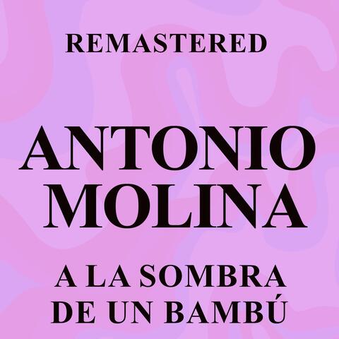A la sombra de un bambú