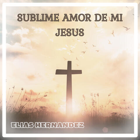 Sublime Amor de mi Jesus