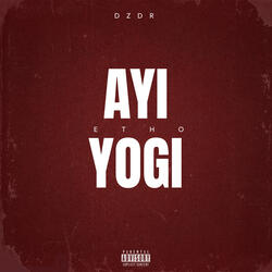 Ayı Yogi