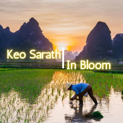 In Bloom
