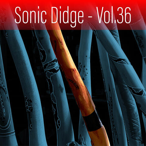 Sonic Didge, Vol. 36