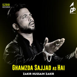 Ghamzda Sajjad as Hai