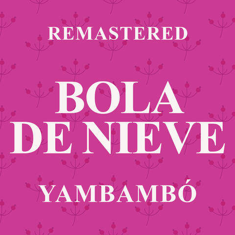 Yambambó