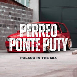 PERREO PONTE PUTY