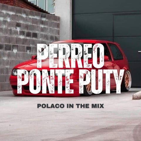 PERREO PONTE PUTY