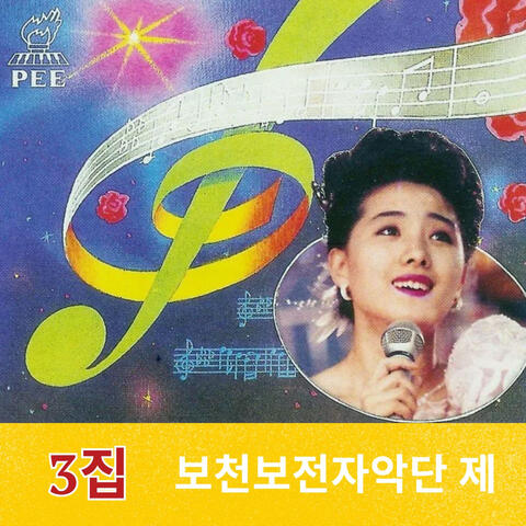 3집