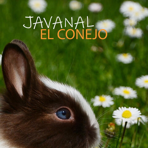 El Conejo