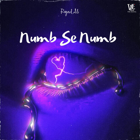 Numb Se Numb