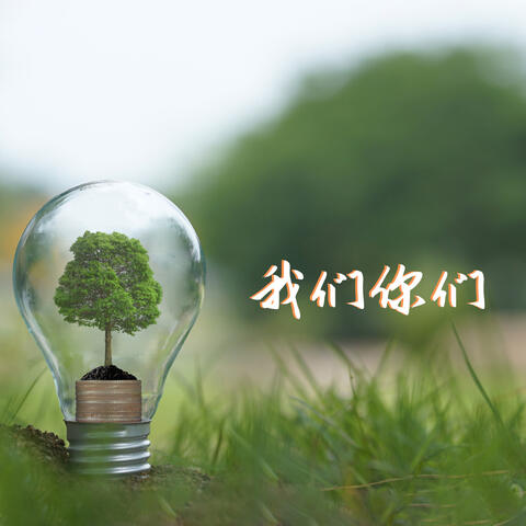 我们你们