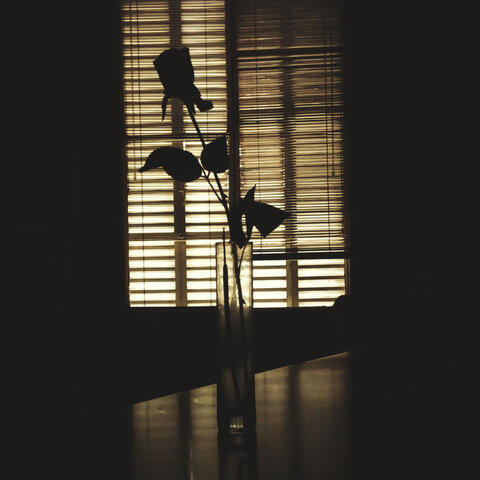 Softer Silence