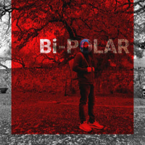 Bi-Polar