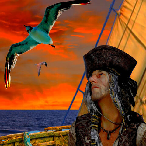 Ocean Pirate