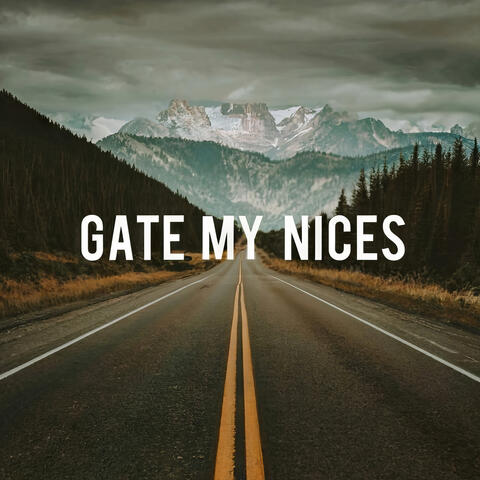 Gate My Nice