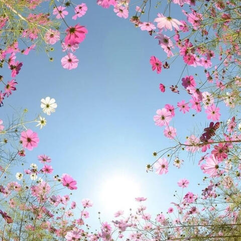 Relax and laugh from your heart