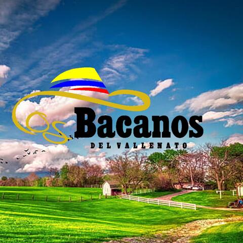 Mosaico los Bacanos del Vallenato