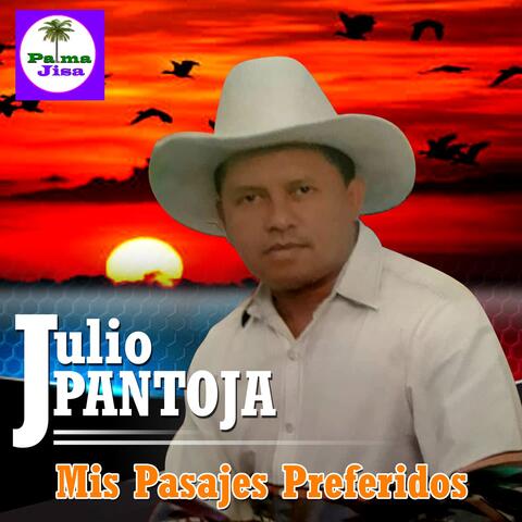 Mis Pasajes Preferidos