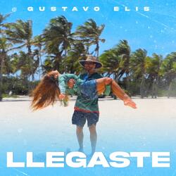 Llegaste