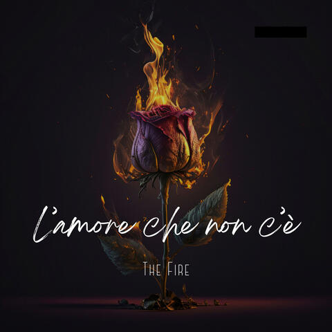 L’AMORE CHE NON C’È