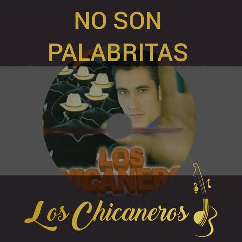 No Son Palabritas