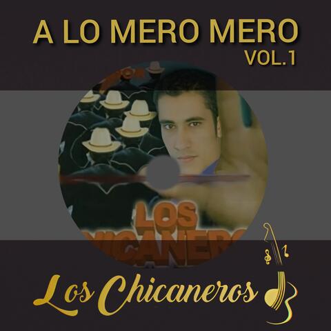A lo Mero Mero, Vol. 1