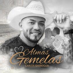 Almas Gemelas