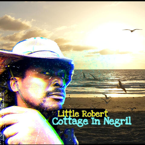 Cottage In Negril