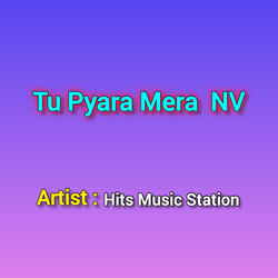 Tu Pyara Mera NV