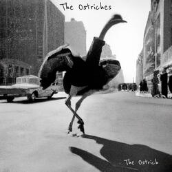 The Ostrich